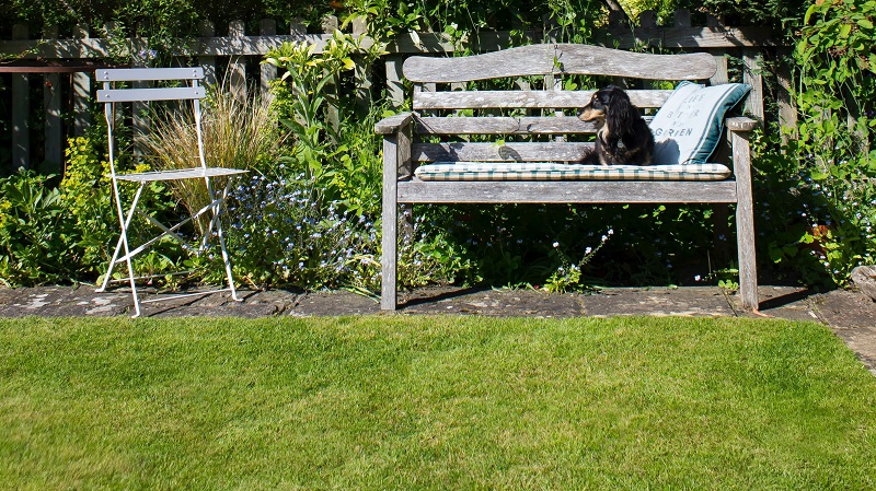 A dog rests on a garden bench near a garden chair.