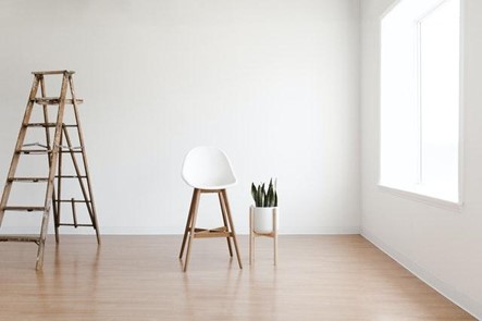 A white room with a ladder, chair and a houseplant
